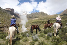 Au pays du Paso Péruvien en randonnée équestre au Pérou - Randocheval